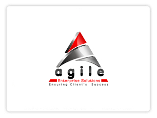 Agile Enterprice Solutions